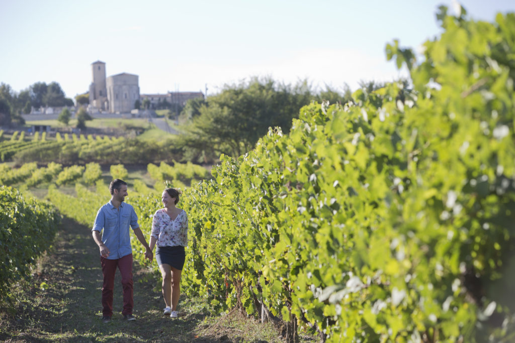 Balade dans le vignoble