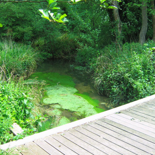 vallée du coran saint bris des bois