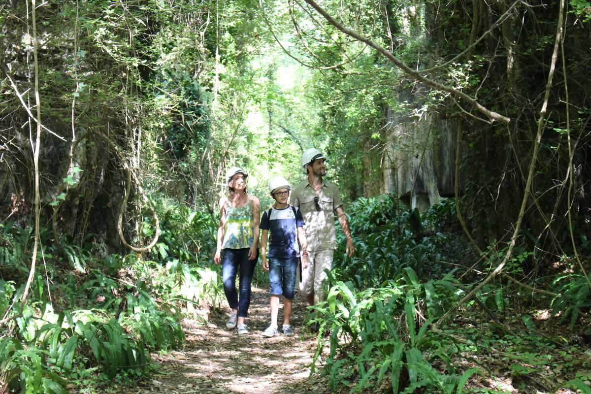 Pierre de Crazannes et Lapidiales - Saintes Tourisme