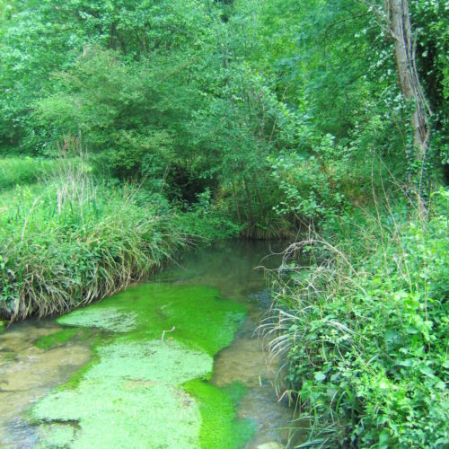 Vallée du Coran